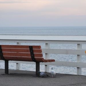 Meet your Posher, Sana